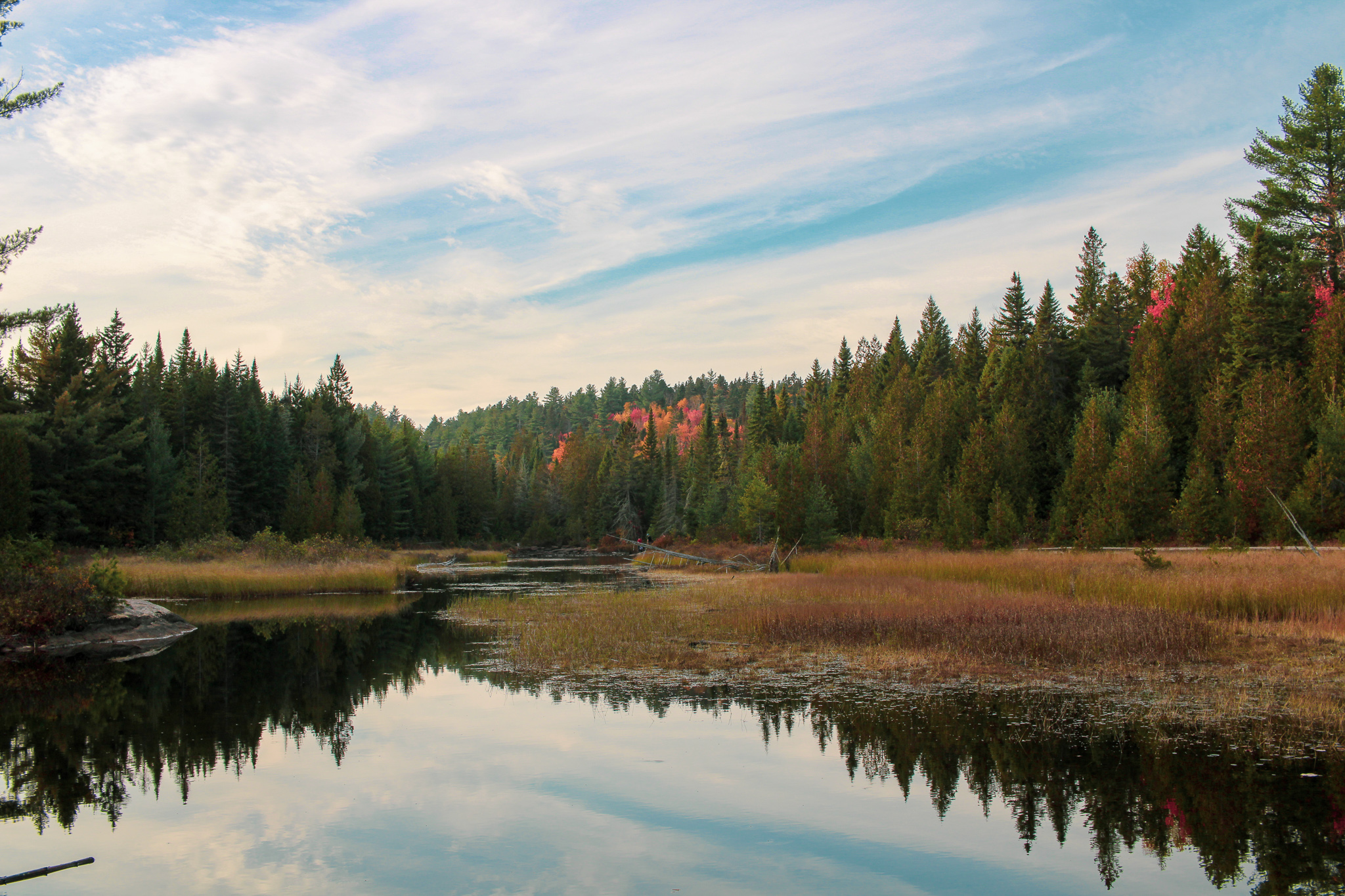 Randonnée en forêt : Le parc de la Mauricie